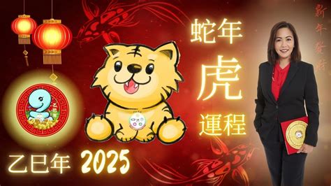 乙巳年生肖|2025蛇年生肖運勢解析！屬牛開大運、屬馬謹慎理財、屬豬需要。